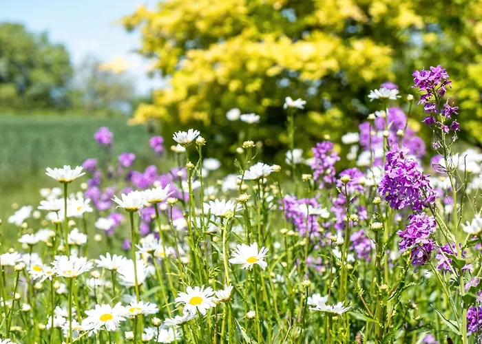 アパート Pappelhof バート・ベリンゲン